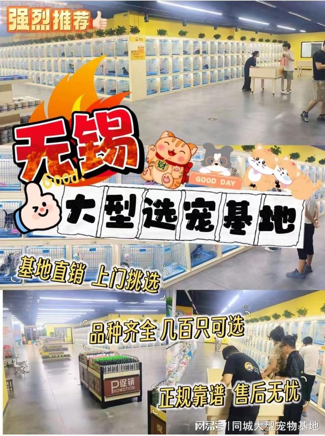 无锡哪里买宠物靠谱安全？这儿有实体店可选放心大胆挑吧(图1)