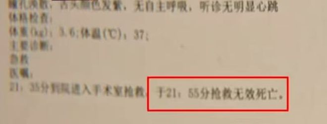 杭州顾客称盒马外卖员踢死家中宠物狗盒马回复：配送员当时被狗扑上去是受到惊吓后的应激反应(图1)