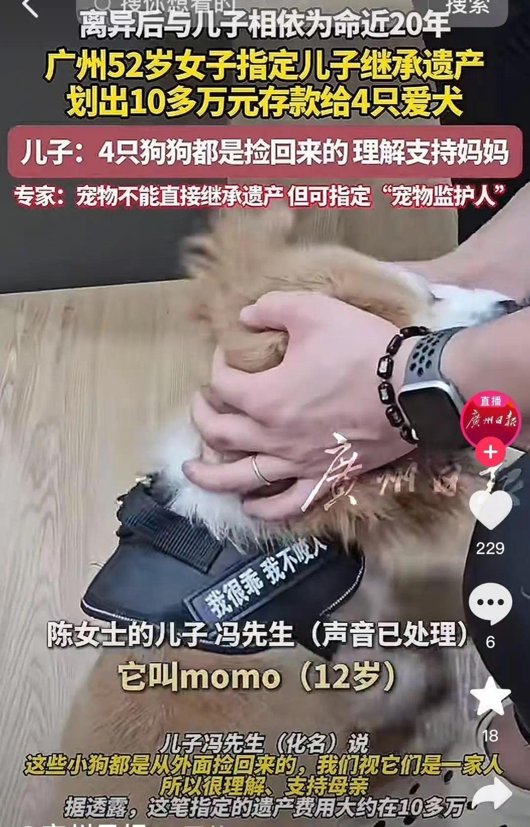 广州一女子立遗嘱给宠物狗留了十几万元律师：可以指定遗产管理人专款专用(图1)