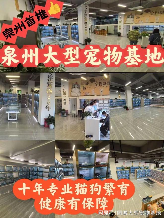 泉州哪里有正规宠物基地？这里实体店选购宠物安全更值得信赖(图1)