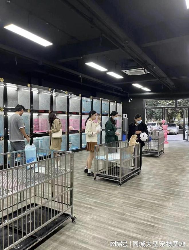 泉州哪里有正规宠物基地？这里实体店选购宠物安全更值得信赖(图4)