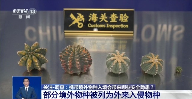 @铲屎官们养“异宠”或危害国家安全这些行为违法了(图5)