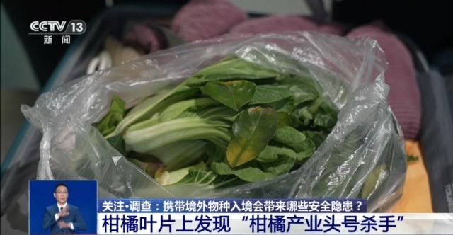 @铲屎官们养“异宠”或危害国家安全这些行为违法了(图4)