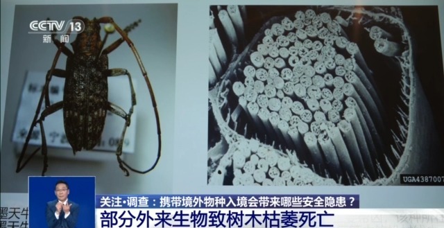@铲屎官们养“异宠”或危害国家安全这些行为违法了(图9)