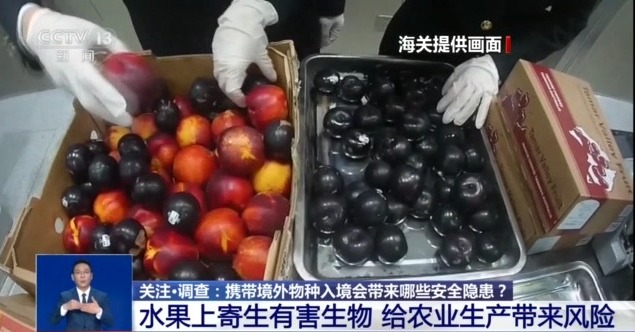 @铲屎官们养“异宠”或危害国家安全这些行为违法了(图6)