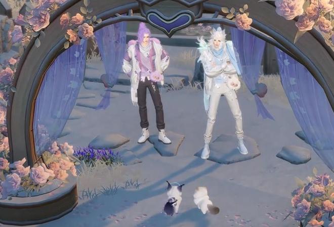 一周促成18对00后“宠物红娘”：全部都能当天繁育(图3)
