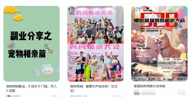 一周促成18对00后“宠物红娘”：全部都能当天繁育(图1)