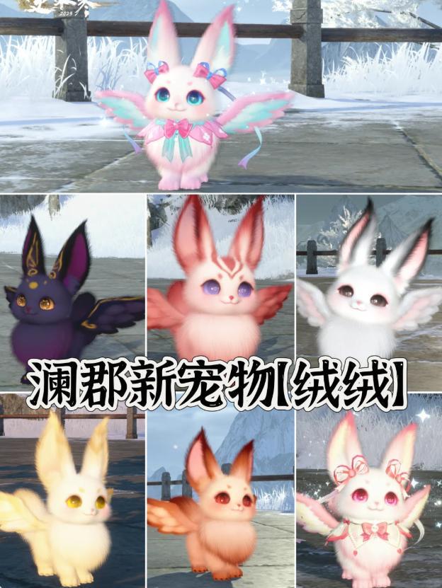 一周促成18对00后“宠物红娘”：全部都能当天繁育(图9)