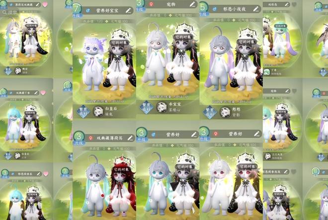 一周促成18对00后“宠物红娘”：全部都能当天繁育(图6)