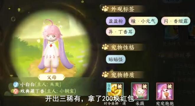 一周促成18对00后“宠物红娘”：全部都能当天繁育(图7)