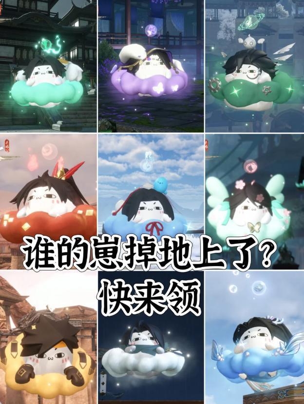 一周促成18对00后“宠物红娘”：全部都能当天繁育(图10)