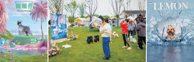 “它经济”遇上“AI热”(图1)
