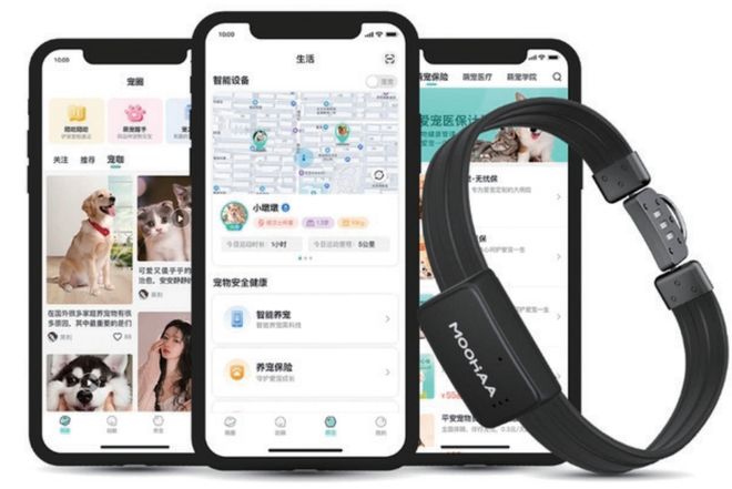 “它经济”遇上“AI热”(图3)