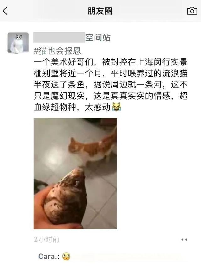 元宇宙、孩子和狗你愿意给孩子养一只宠物吗？(图10)