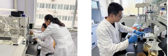 砥砺创新之翼铸就卓越之魂：营养源所新增荣誉资质(图5)