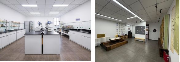 砥砺创新之翼铸就卓越之魂：营养源所新增荣誉资质(图4)